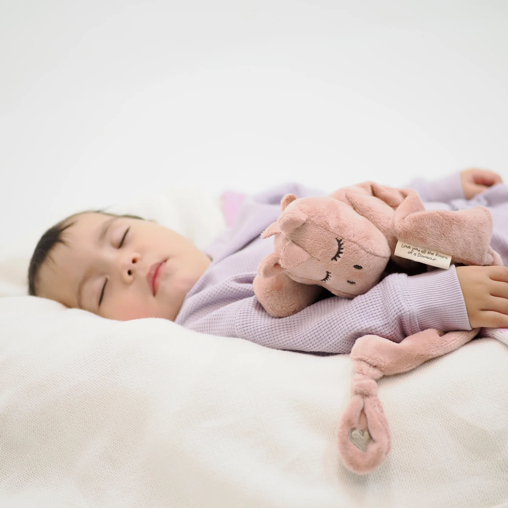 Schnorglesaurus Dinosaur Sensory Comforters