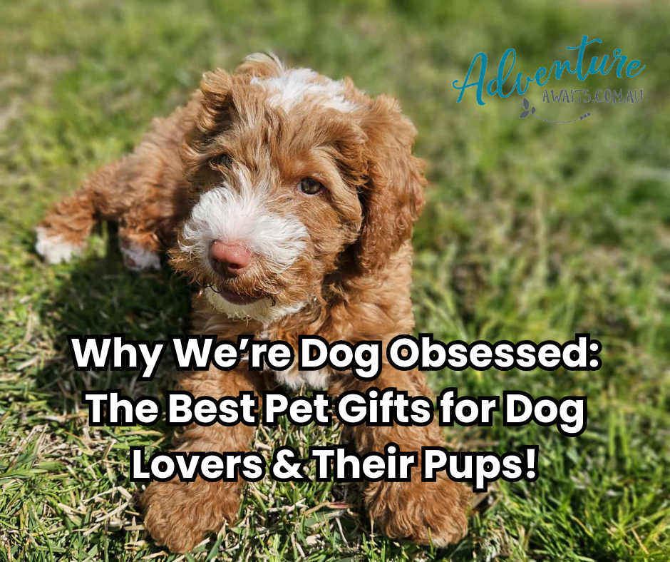 Why We’re Dog Obsessed: The Best Pet Gifts for Dog Lovers & Their Pups