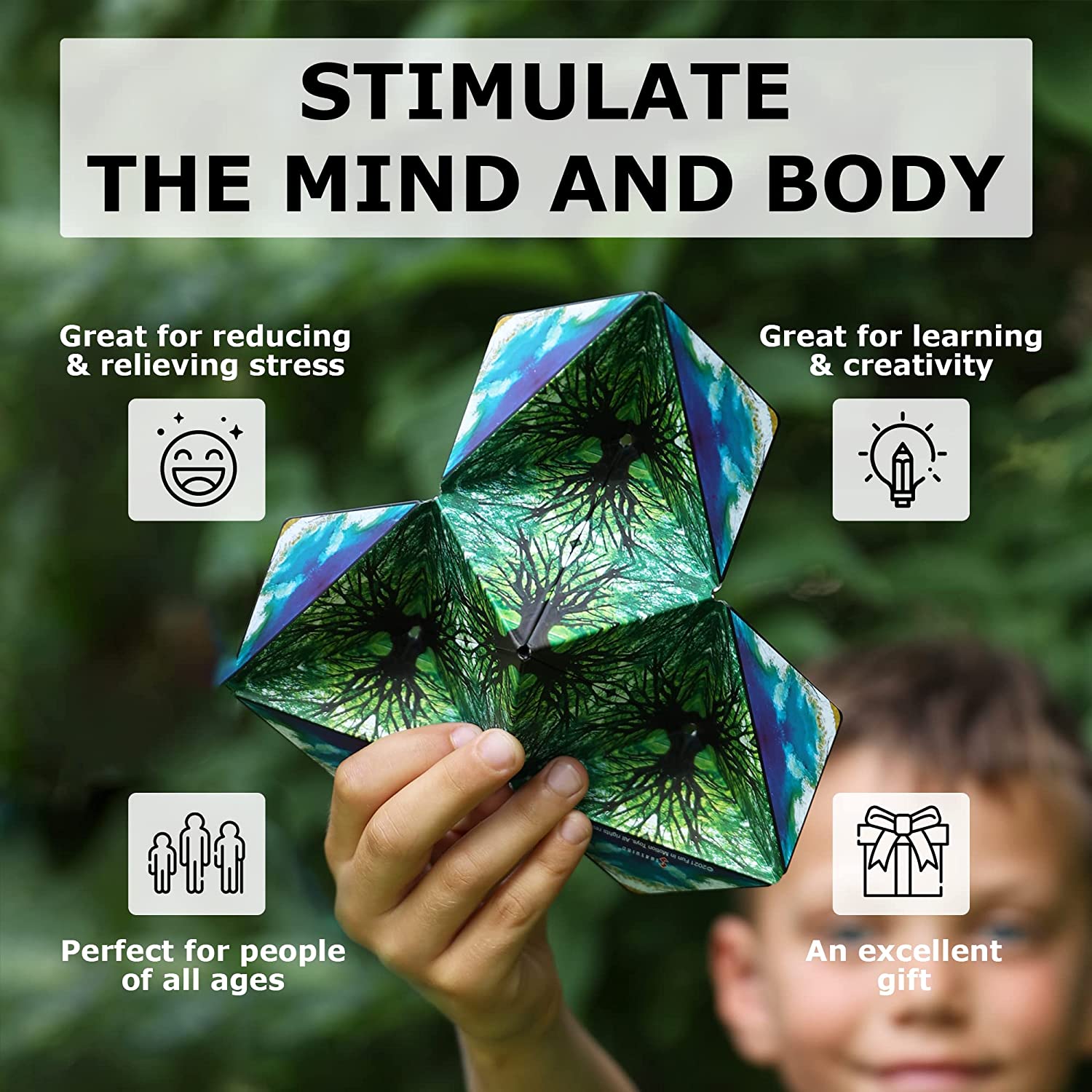 Shashibo & Karmagami Sensory Toys