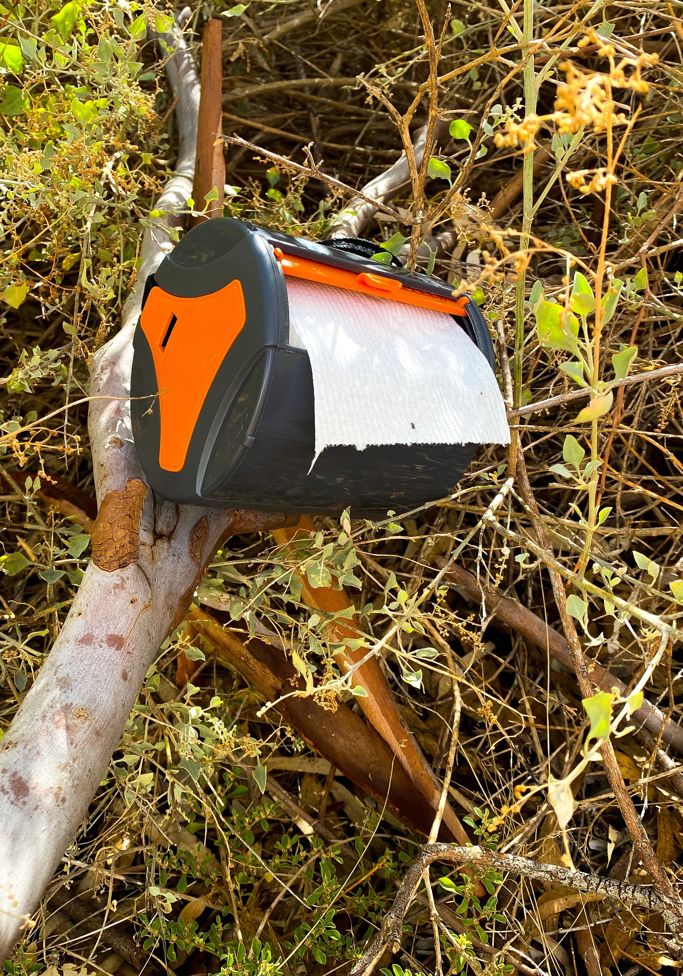 Dunny Buddy & Paperpod