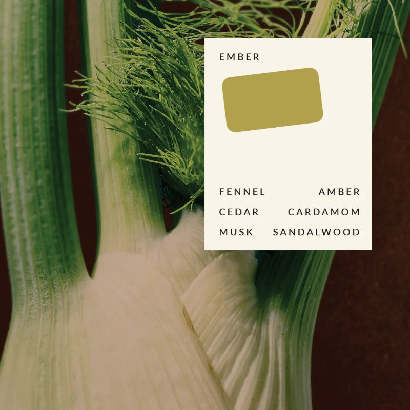 Ember solid perfume scent card with fennel, amber, cedar, cardamom, musk and sandalwood — Adventure Awaits
