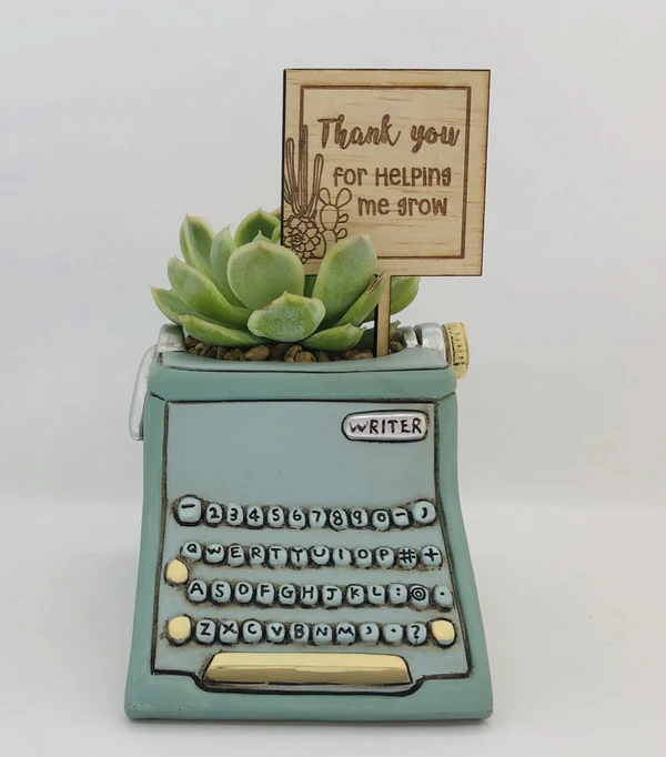 typewriter succulent Typewriter Planter Allen Designs