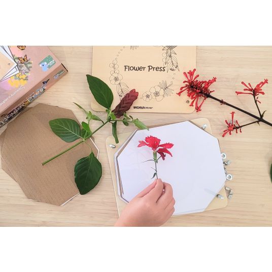 Hand placing a red flower inside the Australian Flora wooden flower press on a craft table, Adventure Awaits