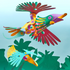Clixo | Tropical Birds