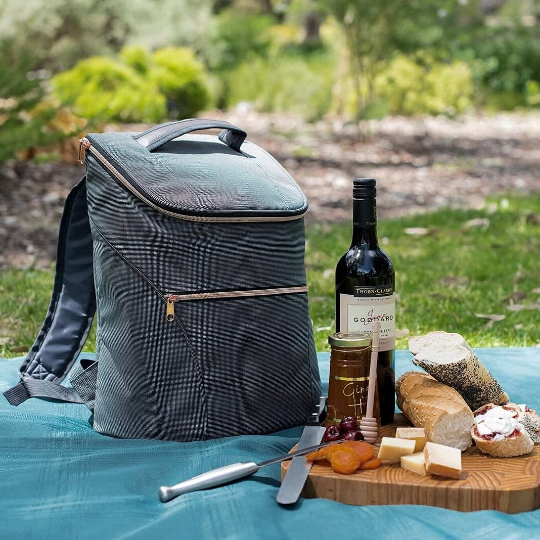 Collapsible Insulated Stylish Backpack