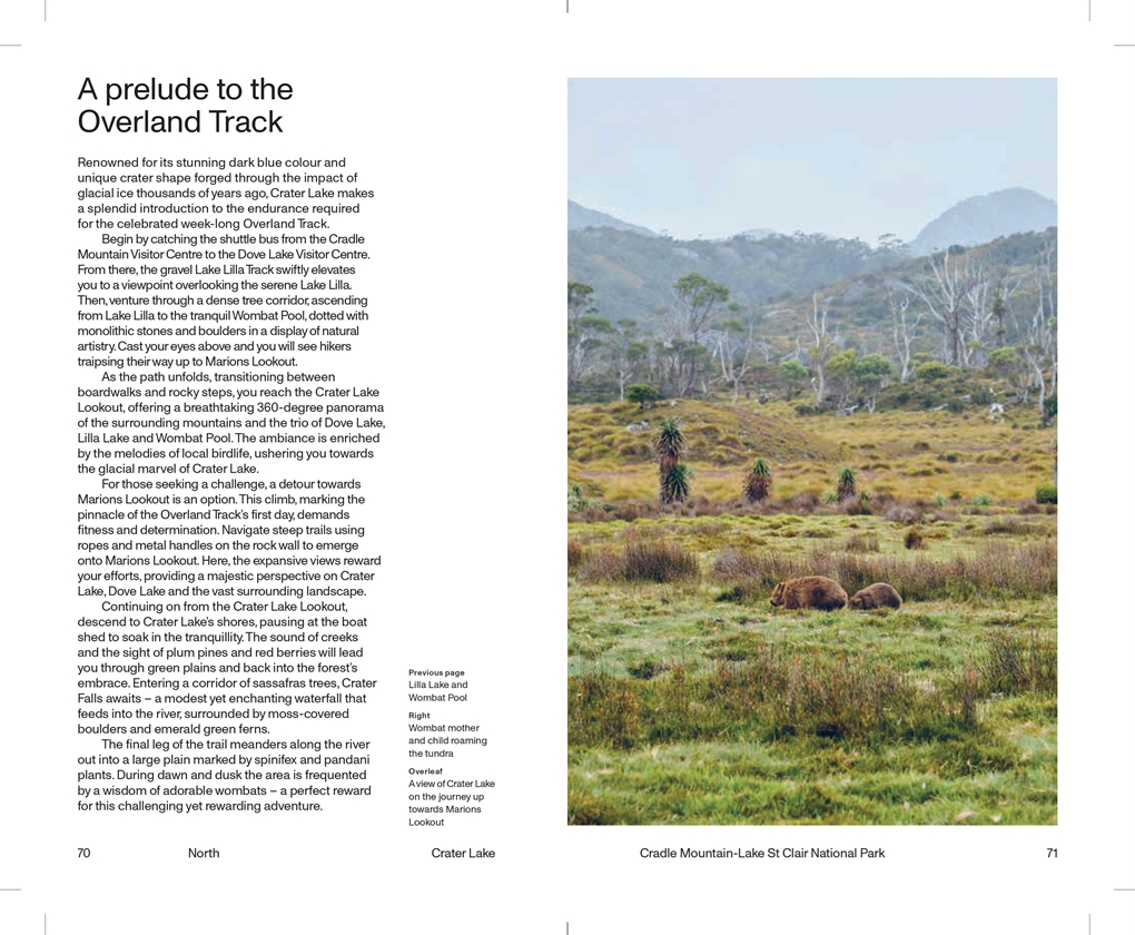 Day Trip Tasmania Book by Andrew Grune And Evi O