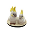Porcelain cockatoo salt and pepper shakers