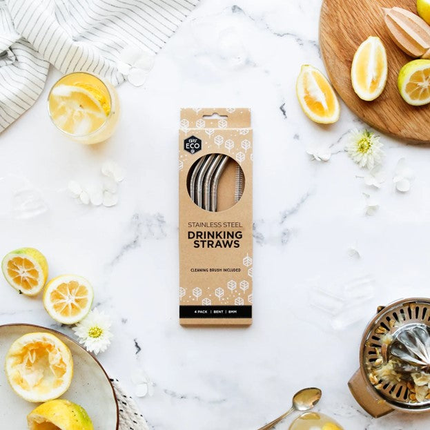 Ever Eco | Stainless Steel Smoothie Straws | 4 Pack + Cleaning Brush