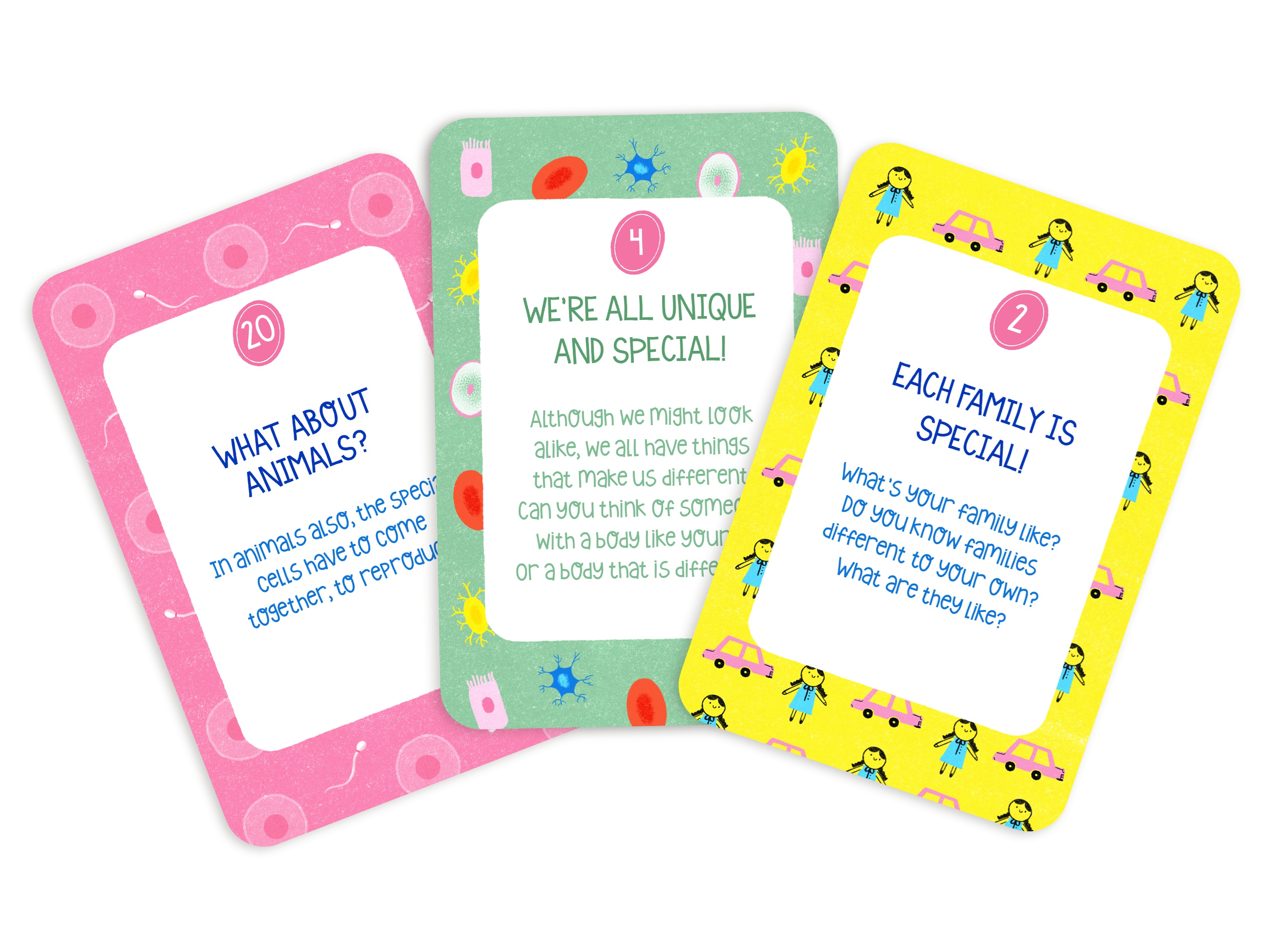 Flashcards my body my rules