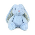 blue blossom frankie bunny sitting on white background