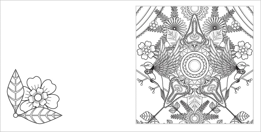 Happy Thoughts | Positive Vibes Colouring Book