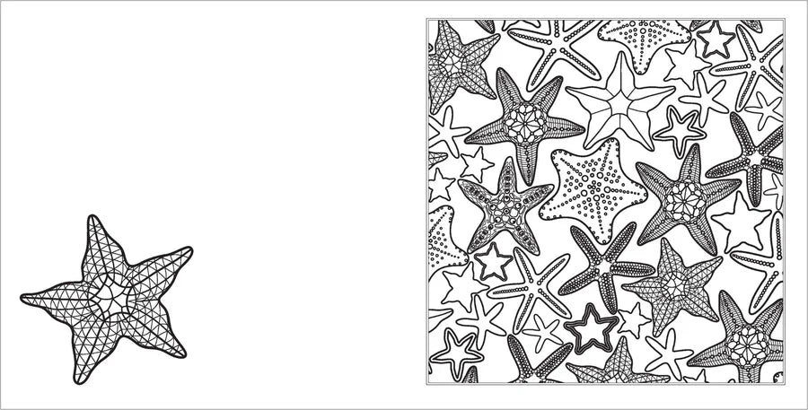 Happy Thoughts | Positive Vibes Colouring Book