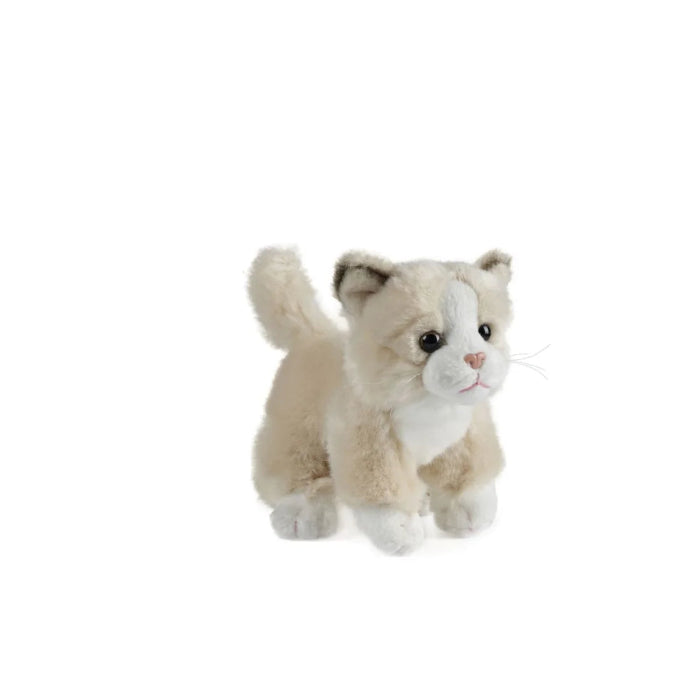 Cream plush kitten toy with white paws, pink nose and upright fluffy tail — Adventure Awaits