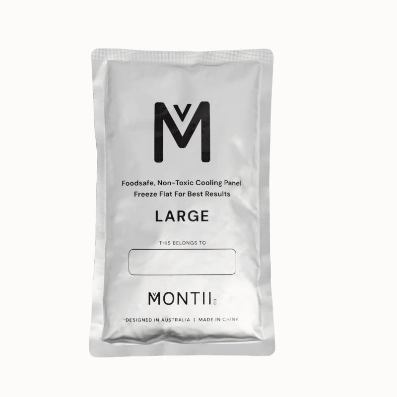 Montiico large aluminium ice pack without cover on a plain background — Adventure Awaits