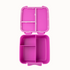 MontiiCo Bento Lunch Box | Bite