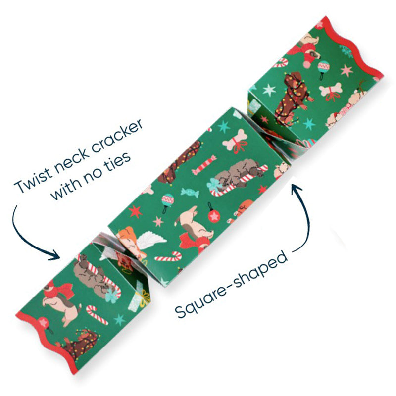 Christmas Crackers For Pets | Cat Or Dog