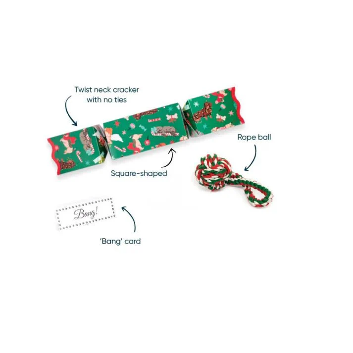 Christmas Crackers For Pets | Cat Or Dog