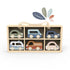 Car Display Case With 6 Vehicles by Speedy Monkey