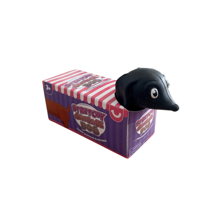 Stretchy Sausage Dog toy in box with black dachshund head peeking out, fun stretchable sensory toy for kids play at home or travel Adventure Awaits