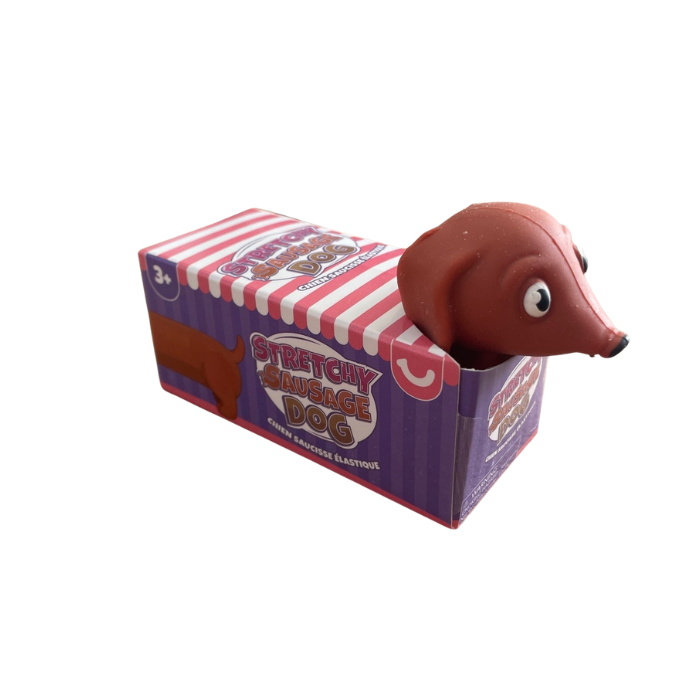 Stretchy Sausage Dog toy in box with dachshund head peeking out, fun stretchable sensory toy for kids play at home or travel Adventure Awaits