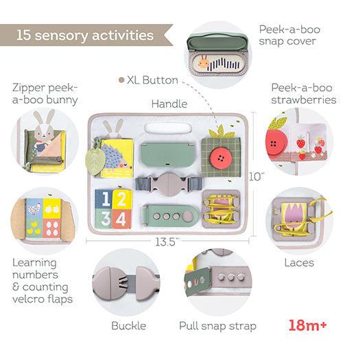 Activity Buckles Board | Taf Toys