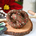 Tara Treasures | Felt Chocolate Pretzel (Or Poo! haha)