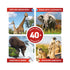 Virtual Reality Animals kit showing 40+ VR experiences with giraffes, elephants and meerkats — Adventure Awaits