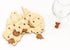 Australia-shaped wooden wine charm set with native animal charms and koala marker on a wine glass — Adventure Awaits