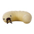Aussie Animals grub squishy toy close up, soft stretchy sensory toy for kids stress relief fun Adventure Awaits