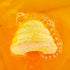 Bee Happy Bath Bomb
