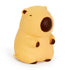 The Big Squii jumbo capybara squishy with tan body, tiny ears and brown nose — Adventure Awaits