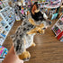 Plush toy hand puppet blue heeler dog held in front of a store shelf with various items