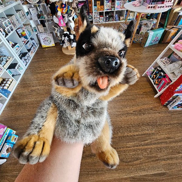 Plush toy blue heeler held above a store floor with various products displayed.
