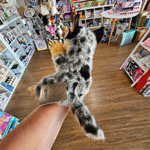 Person holding a blue heeler hand puppet with a store filled with various items in the background