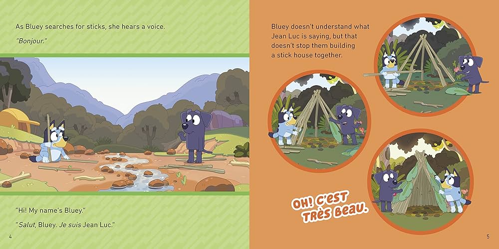 Bluey Camping Book