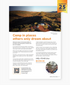 PRE ORDER Camps 13 Camping Guide | B4 Size Easy to Read