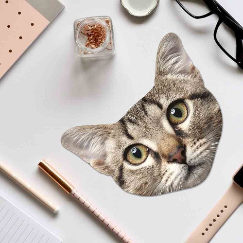 Microfiber Glasses Cloth | Cat or Pug