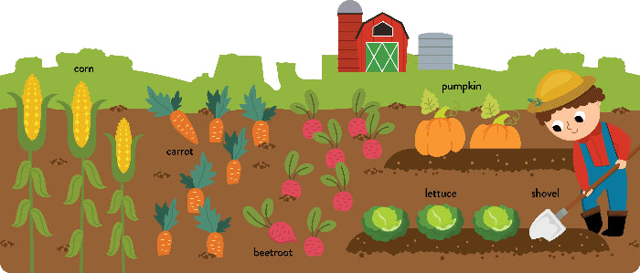 Adventure Awaits farm vegetable learning illustration featuring corn, carrots, beetroot, lettuce and pumpkins
