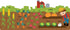 Adventure Awaits farm vegetable learning illustration featuring corn, carrots, beetroot, lettuce and pumpkins