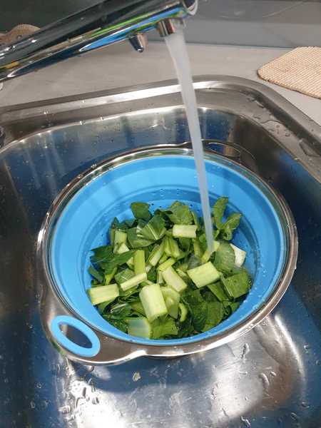 Collapsible Silicone Colander/Steamer 2 in 1