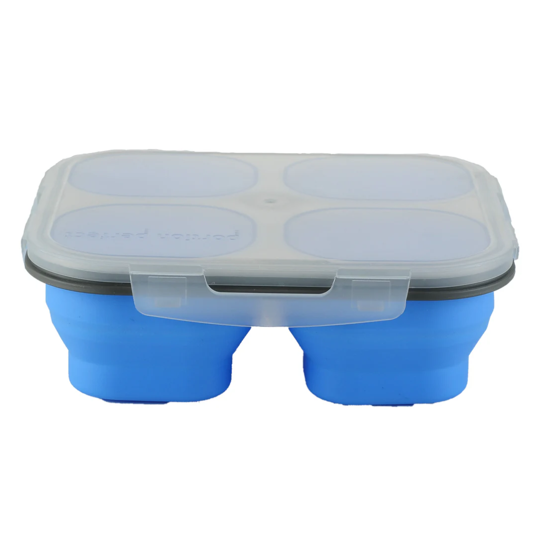 Collapsible 4 Compartment Storage Container