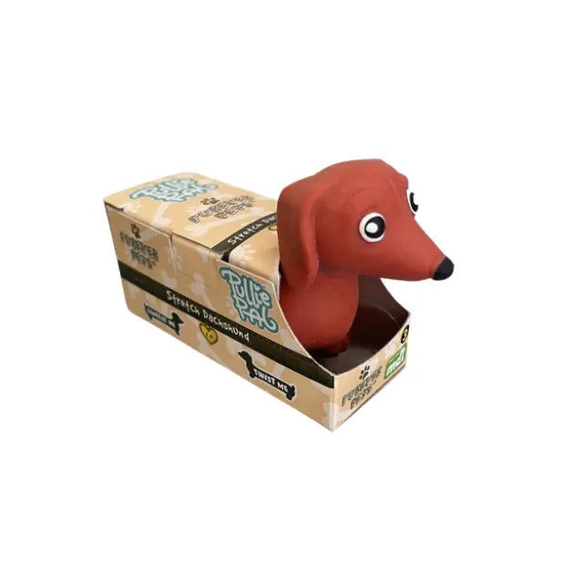 Stretch dachshund fidget toy in brown packaging with sausage dog design — Adventure Awaits