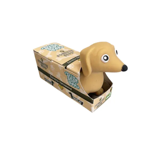 Tan stretch dachshund fidget toy in gift box with cute sausage dog head — Adventure Awaits