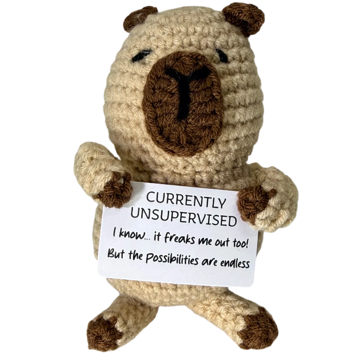 handmade crochet bear plush toy holding a humorous “Currently Unsupervised” sign about endless possibilities