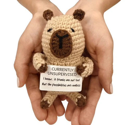 hands holding a handmade crochet bear plush toy with a humorous “Currently Unsupervised” quote sign