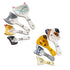 Cat and dog ceramic measuring spoons in cute animal designs — Adventure Awaits