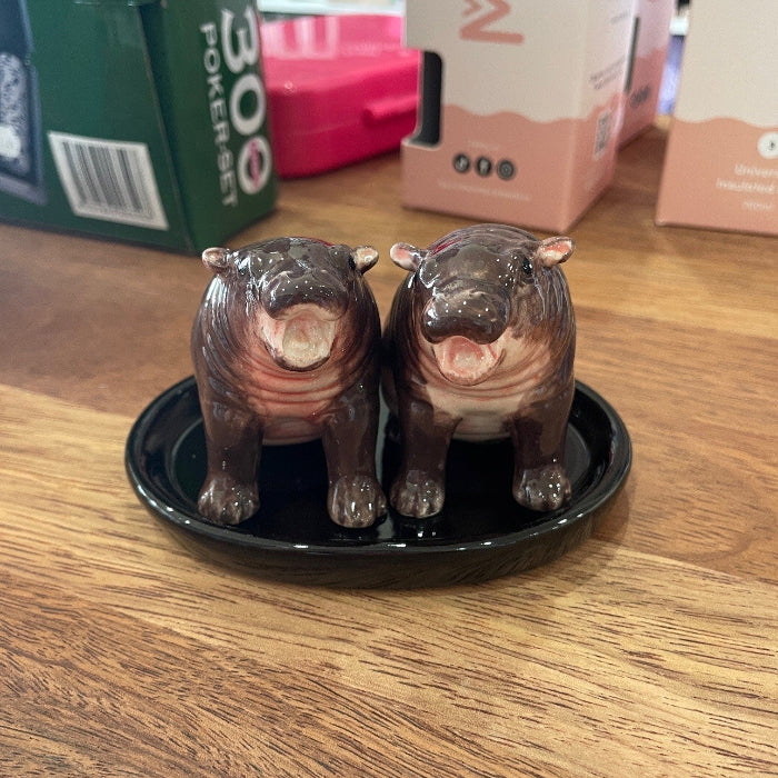 Ceramic baby hippo salt and pepper shaker set