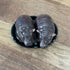 Ceramic baby hippo salt and pepper shaker set