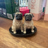 Ceramic Pug salt and pepper shakers