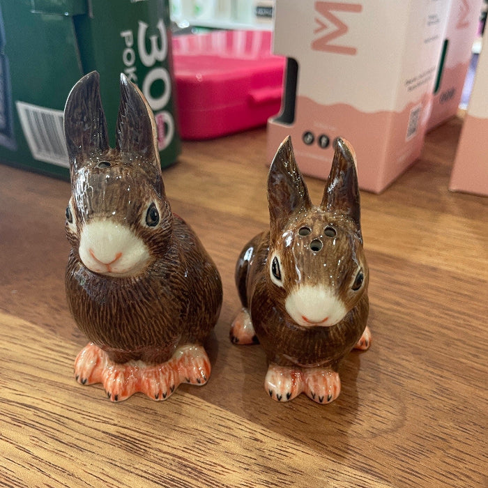 Ceramic rabbit salt and pepper shakers